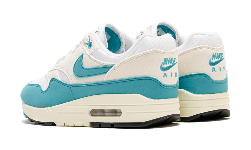 Air Max 1 "Dusty Cactus"