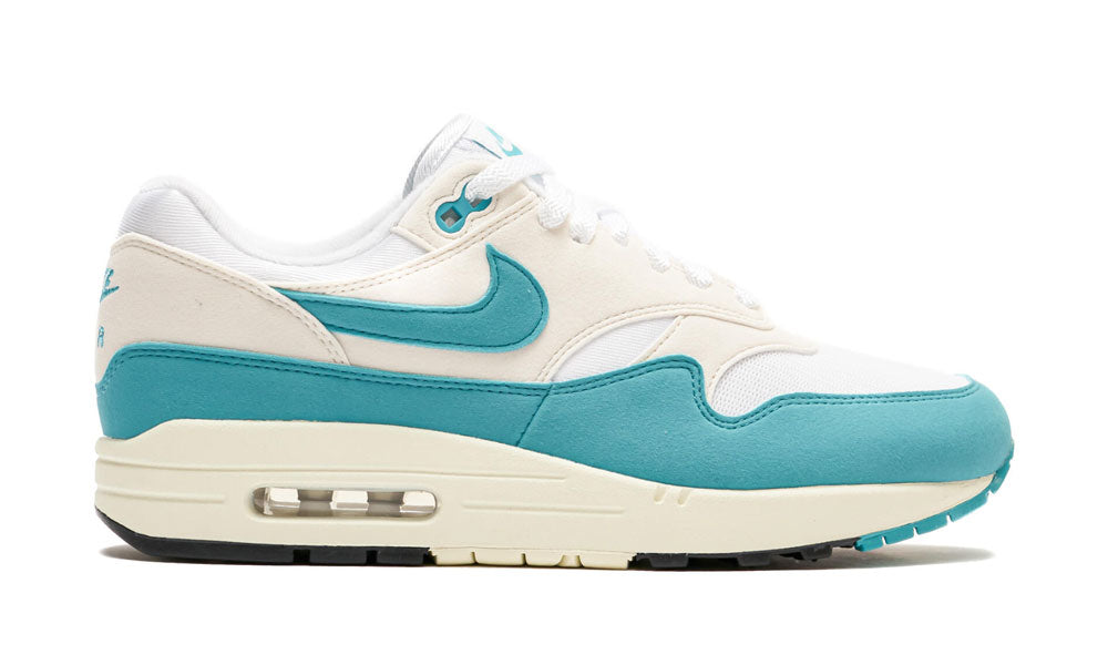 Air Max 1 "Dusty Cactus"